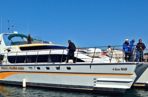 4 Ever Wild whale watching tour boat in Victoria, BC