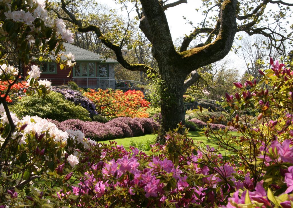 Abkhazi Garden