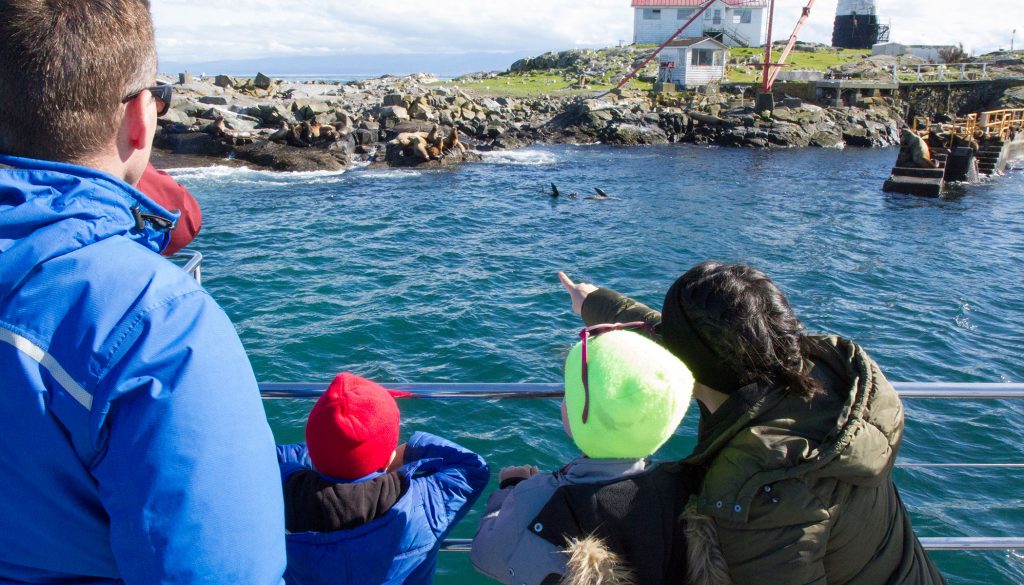 A family enjoys a view of sea lions at Race Rocks lighthouse.