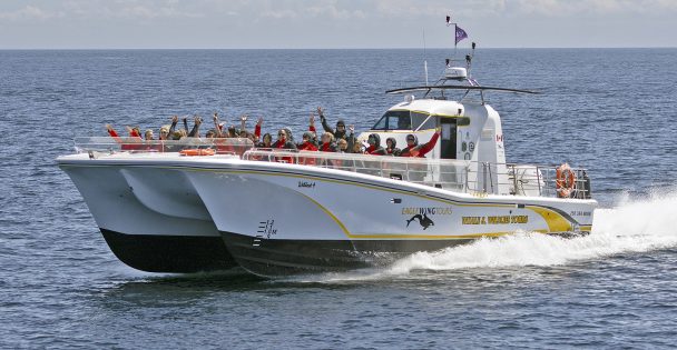 open style whale watching tour boat in Victoria, BC
