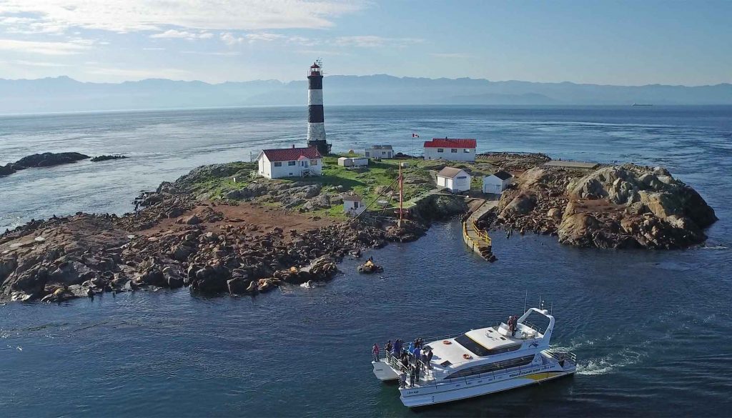 Drone view of our vessel 4 Ever Wild visiting Race Rocks Ecological Reserve during a whale watching tour