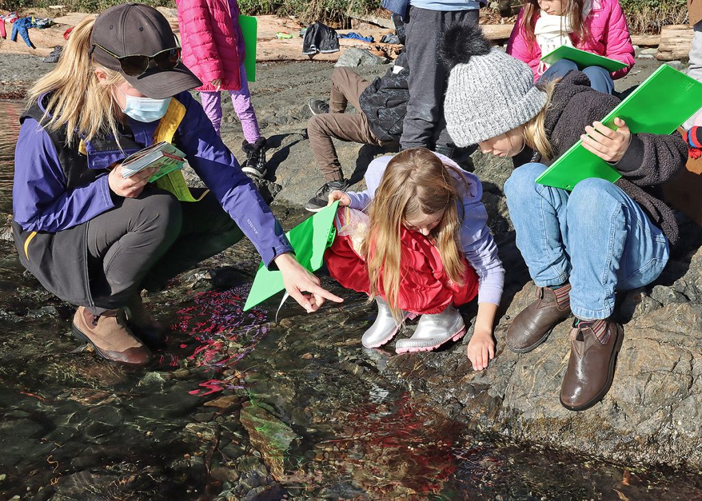 n Eagle Wing naturalist explores tidepools with schoolchildren in Eagle Wing's award-winning education program