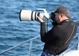 How to Take Amazing Photos on Your Whale Watching Tour